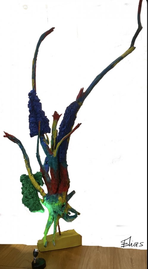 Image Image